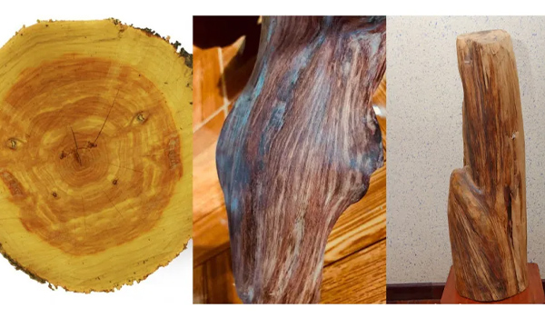 Nhận biết gỗ hoàng đàn thật giả qua đặc điểm bền ngoài và đốt gỗ
