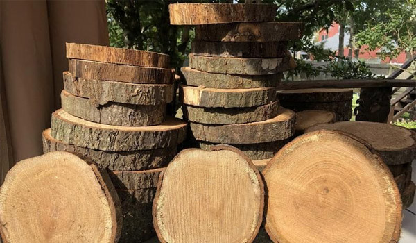 Gỗ sao là loại gỗ được lấy trực tiếp từ thân cây sao, là 1 loại gỗ quý hiếm có giá trị kinh tế cao