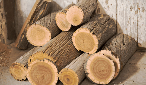 Gỗ xá xị là loại gỗ có mùi hương đặc trưng, giống với mùi nước xá xị