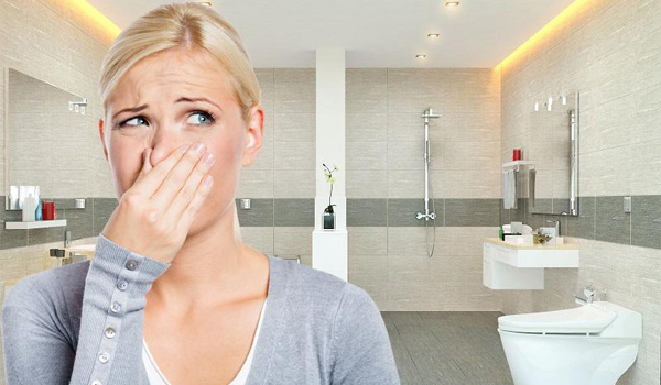 Tại sao nhà vệ sinh lại có mùi hôi khó chịu?
