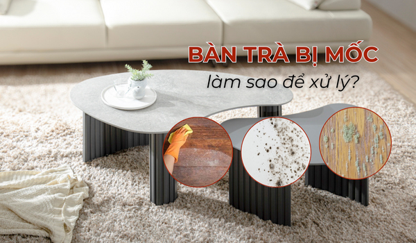 Bàn trà bị mốc phải làm sao để xử lý nhanh gọn và hiệu quả?