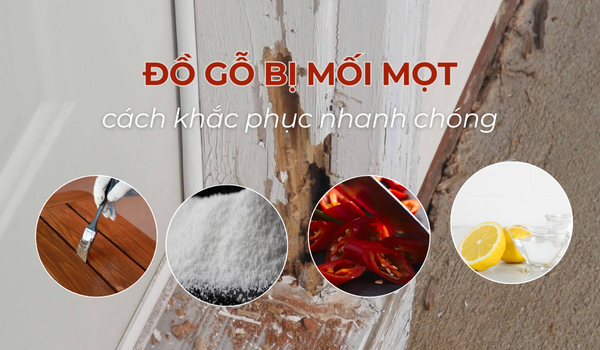 Đồ gỗ bị mối mọt phải làm sao để xử lý nhanh chóng?