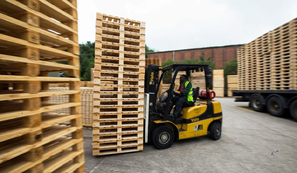 Pallet gỗ giúp nâng đỡ, lưu trữ & vận chuyển hàng hóa một cách thuận tiện