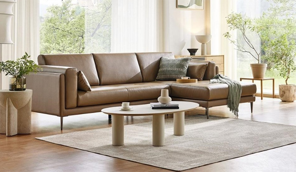 Cách mua sofa cao cấp nhập khẩu chuẩn chất lượng