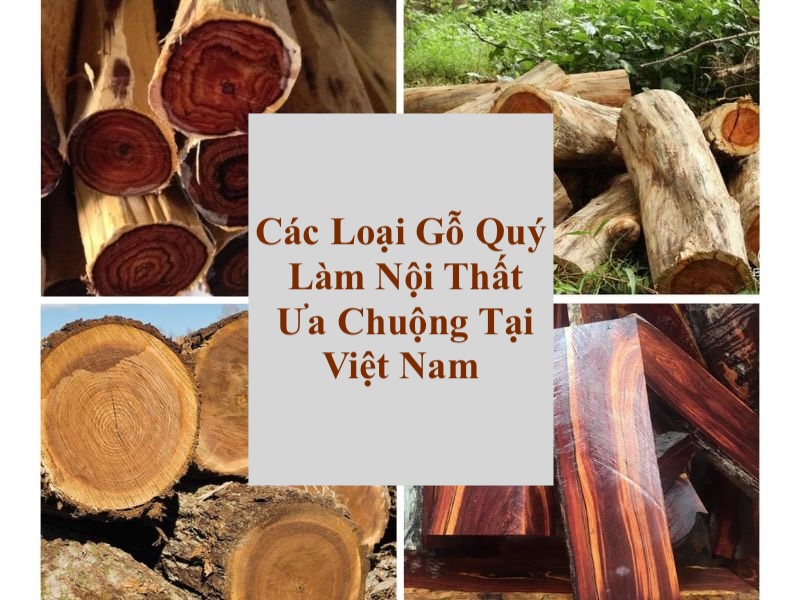 Các Loại Gỗ Quý Làm Nội Thất