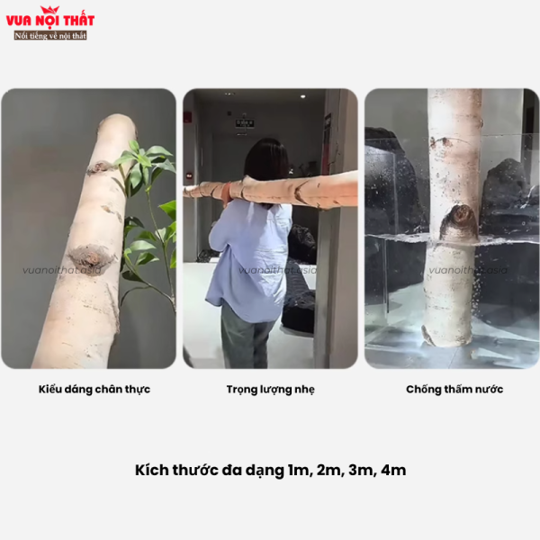 Thân cây bạch dương phát sáng DTT62 có đa dạng kích thước từ 1m đến 4m