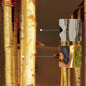 Đặc điểm của thân cây bạch dương phát sáng DTT62