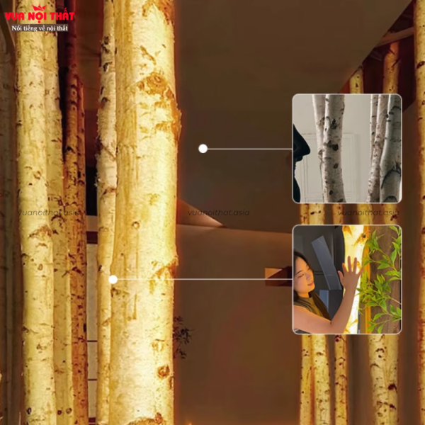 Đặc điểm của thân cây bạch dương phát sáng DTT62