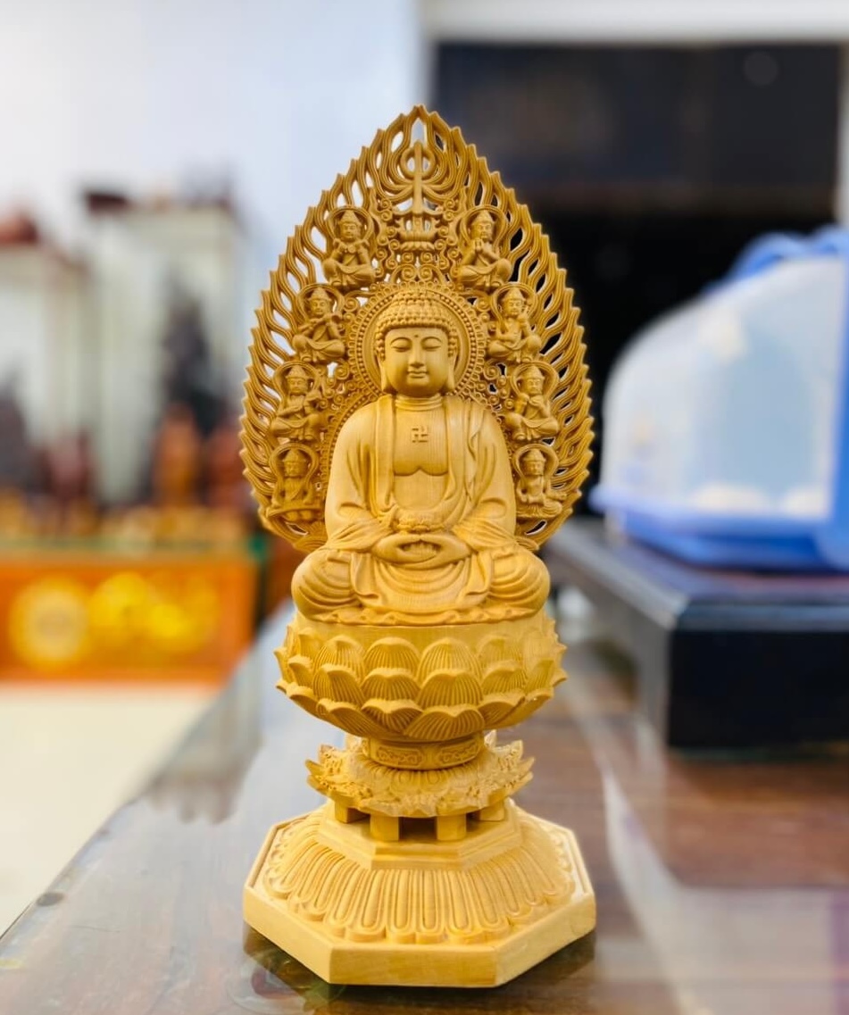 Gỗ hoàng dương là gỗ gì? đặc điểm,ý nghĩa trong phong thuỷ