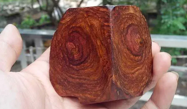 Gỗ sưa có màu sắc rất đặc trưng, vân gỗ bắt mắt