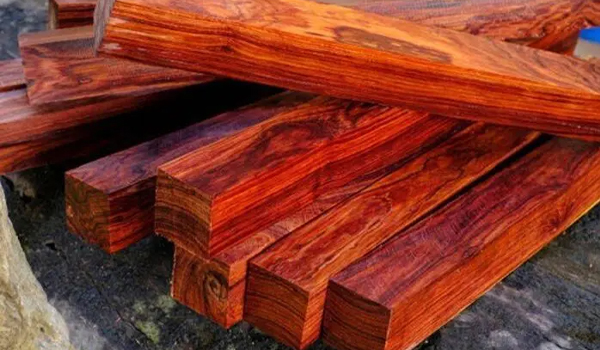 Gỗ trắc đỏ là một trong những loại gỗ quý thuộc chi Dalbergia