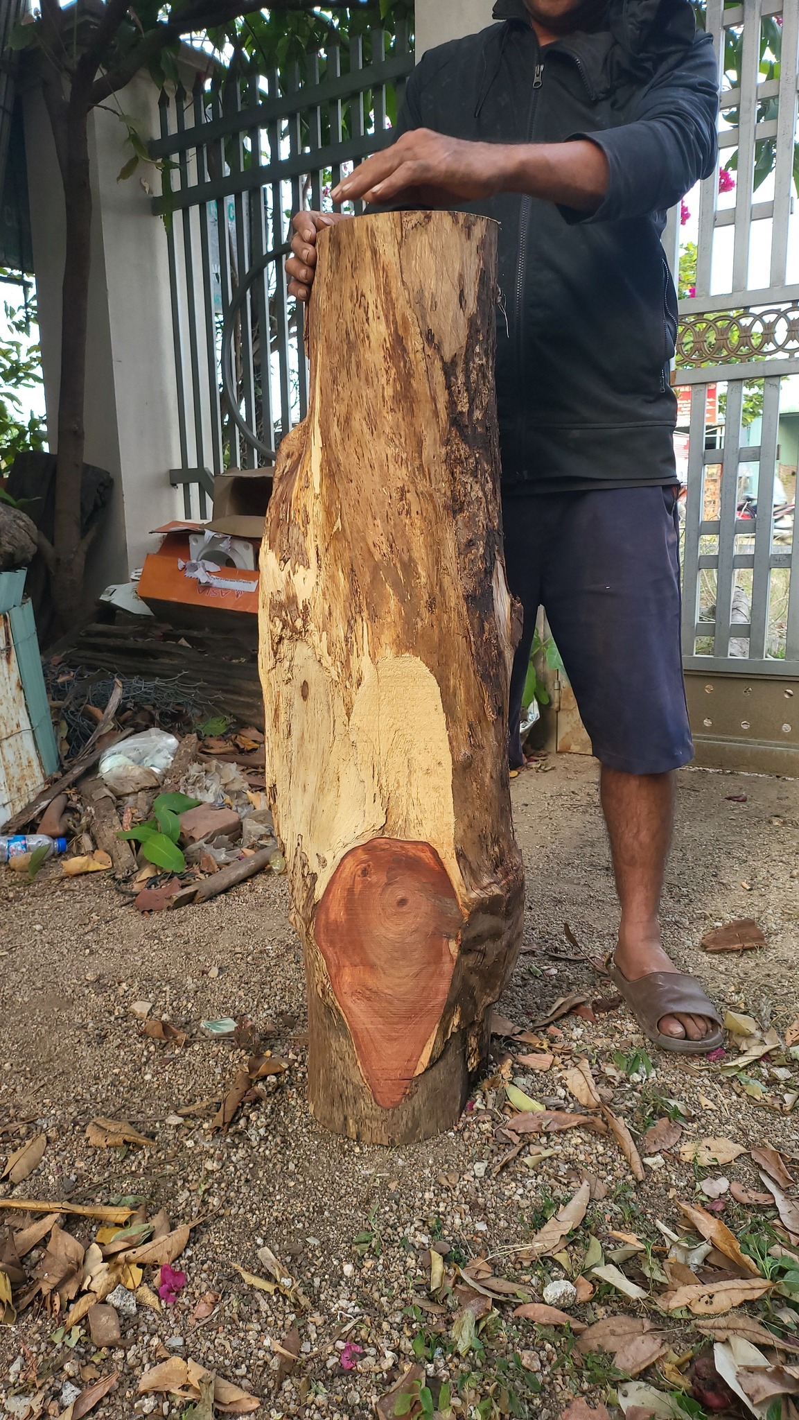 Gỗ hương vân là gỗ gì? đặc điểm và giá bao nhiêu?