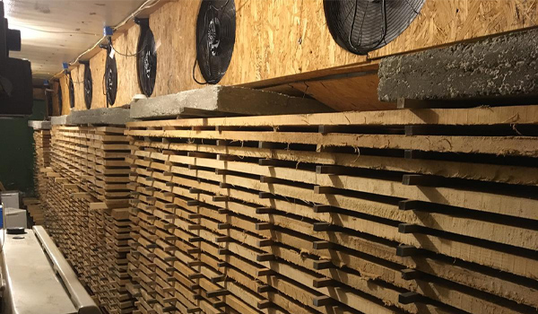 Sấy gỗ tự nhiên sử dụng ánh nắng mặt trời & không khí để làm khô gỗ 