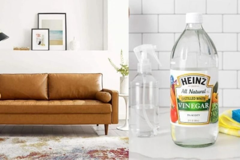 Bỏ túi cách vệ sinh ghế sofa da