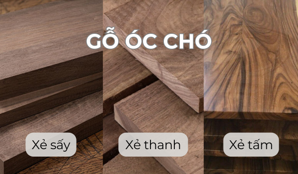 Định nghĩa gỗ xẻ sấy - xẻ thanh - xẻ tấm gỗ óc chó