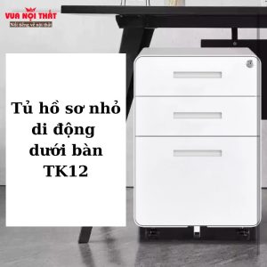 Tủ hồ sơ nhỏ di động dưới bàn TK12