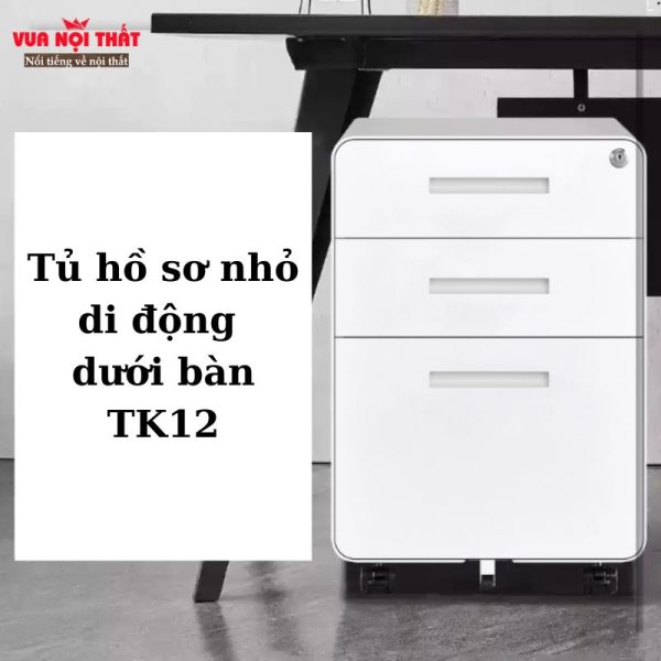 Tủ hồ sơ nhỏ di động dưới bàn TK12