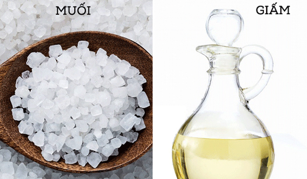 Giấm kết hợp với muối tạo ra dung dịch có tính axit nhẹ, giúp ngăn & diệt mọt rất tốt