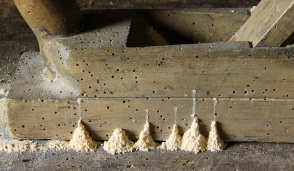 Các dấu hiệu nhận biết đồ gỗ bị mọt