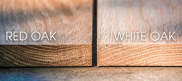 Có 2 loại gỗ sồi nhập khẩu phổ biến là gỗ sồi trắng & gỗ sồi đỏ