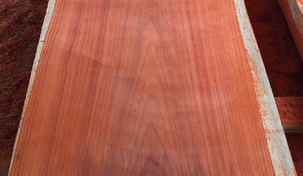 Gỗ Hương có vân gỗ đẹp, sắc nét, mùi thơm nhẹ đặc trưng