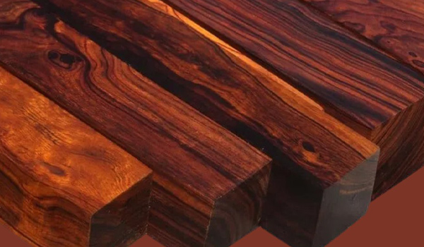 Gỗ Lim là một trong những loại gỗ quý hiếm & có giá trị cao tại Việt Nam