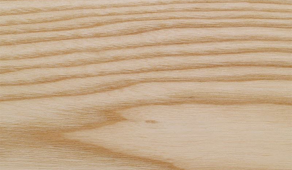 Gỗ sồi Mỹ & sồi Nga đều có hệ vân dạng tia dài