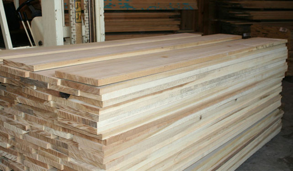 Gỗ Poplar được yêu thích trong các xưởng sản xuất đồ nội thất số lượng lớn