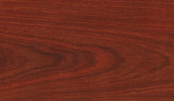 Gỗ sồi đỏ (Red Oak) có tốt không?