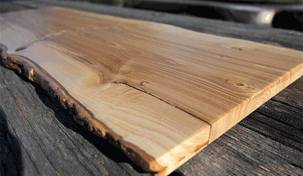 Gỗ tần bì được đánh giá cao về khả năng chịu lực nén & độ dẻo dai