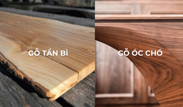 Gỗ tần bì và gỗ óc chó gỗ nào tốt hơn?