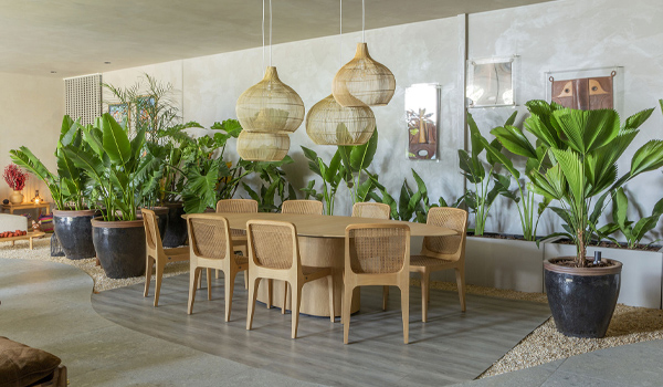 Phong cách Urban Jungle có tính linh hoạt cao, dễ dàng áp dụng cho nhiều không gian