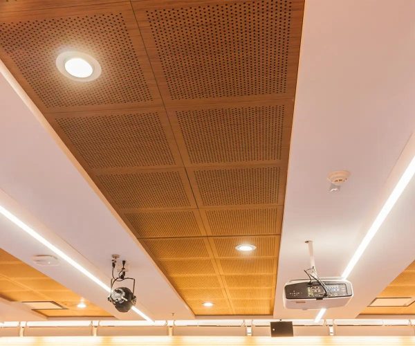 Gỗ tiêu âm là gỗ gì