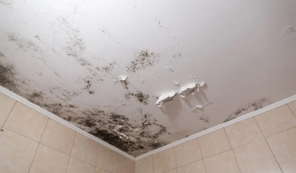 Sử dụng vật liệu kém chất lượng, chống thấm không đạt chuẩn