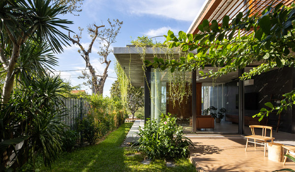 Tồng cây trước nhà, làm tường cây xanh hoặc sử dụng giàn leo giúp giảm nhiệt độ môi trường