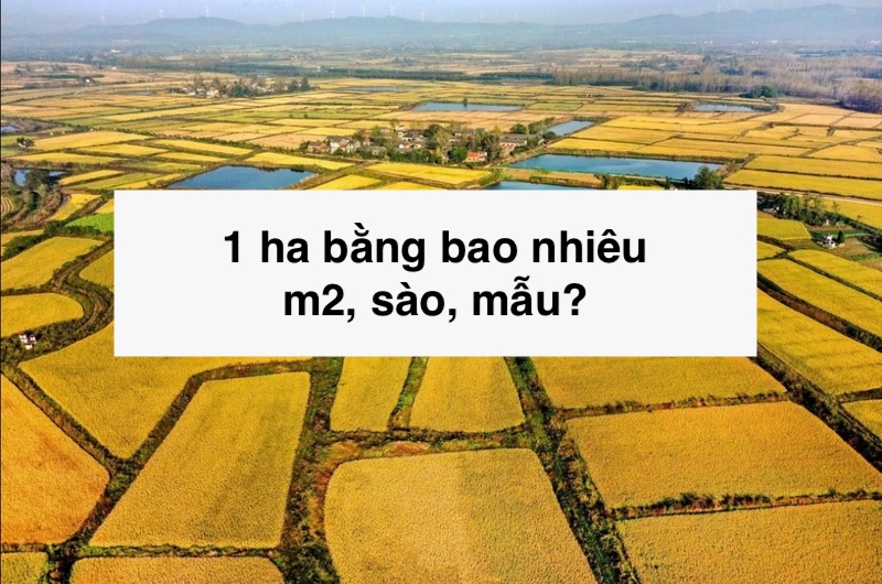 1 ha bằng bao nhiêu m2, sào, mẫu?